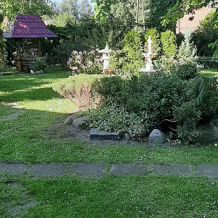 Slonecznik Letniskowe Charbrowo-leba