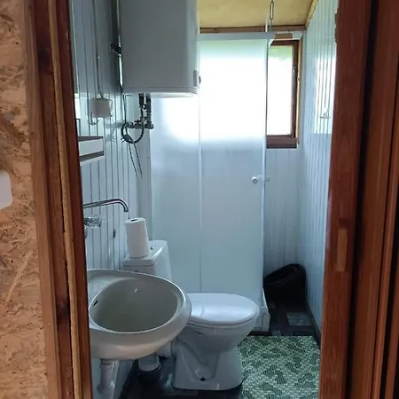 Slonecznik Letniskowe Charbrowo-leba *